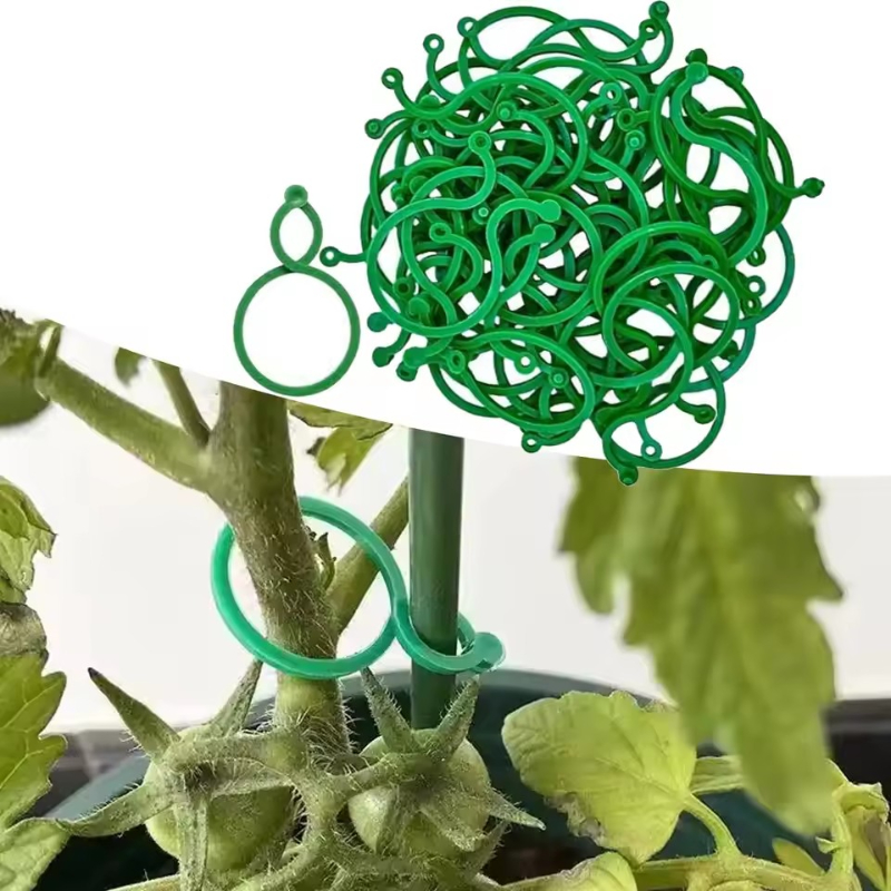 Vine Climbing Plastic - 50-400 piezas de clips de soporte