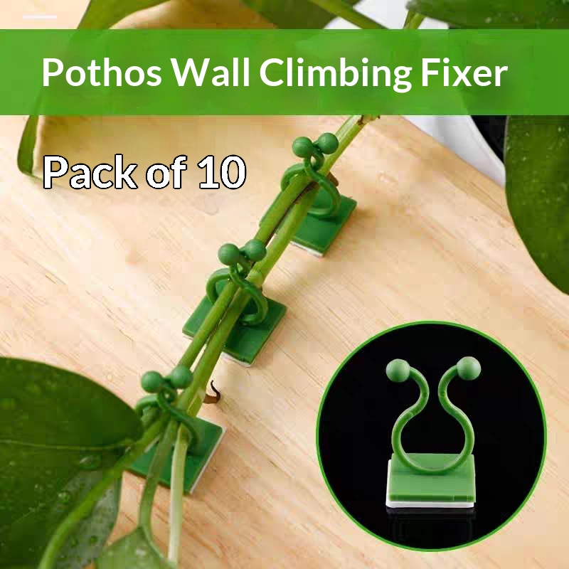Vine Climbing Plastic - Clips autoadhesivos para fijar plantas trepadoras