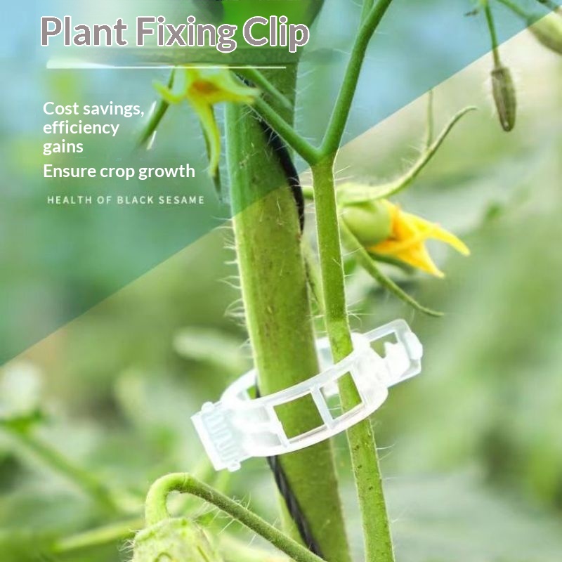 Vine Climbing Plastic - Clips de plástico reutilizables para soporte