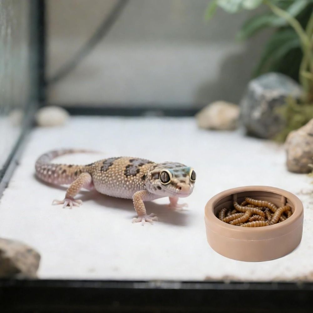 Comedero Portátil Anti-Escape  - Water Dish Reptile reseña y precio