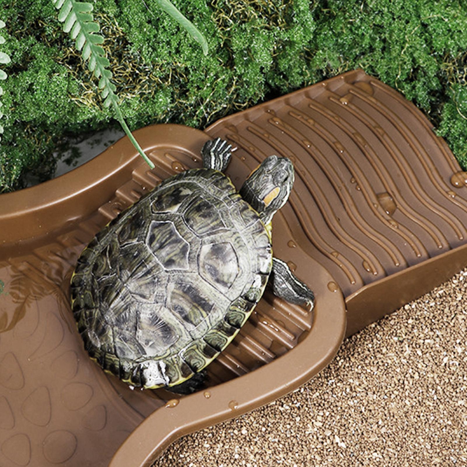 Piscina de baño para reptiles  - Water Dish Reptile reseña y precio
