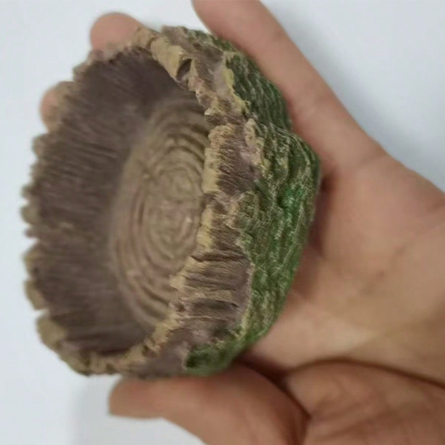 Cuenco de agua para comida de  - Water Dish Reptile reseña y precio